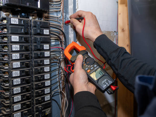 Best Electric Panel Repair  in Roslyn Estates, NY